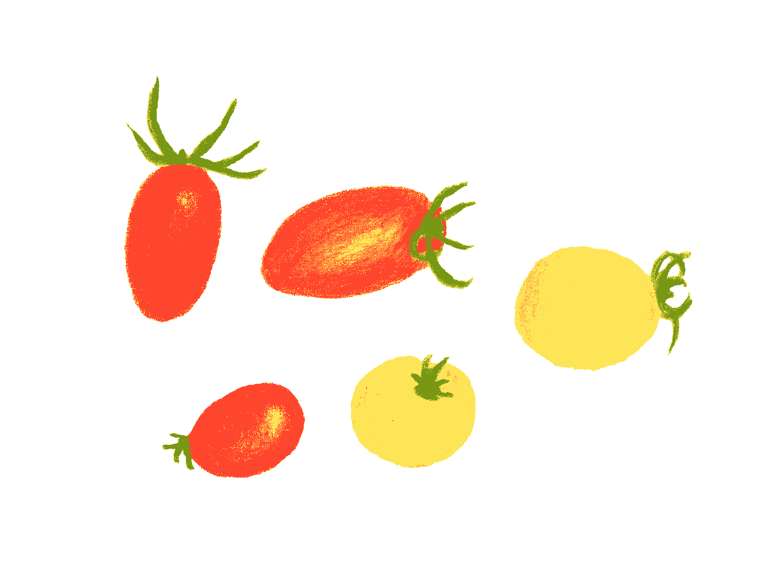 アイコの値段は 新品種のミニトマトは普通とどう違うの Food Layout