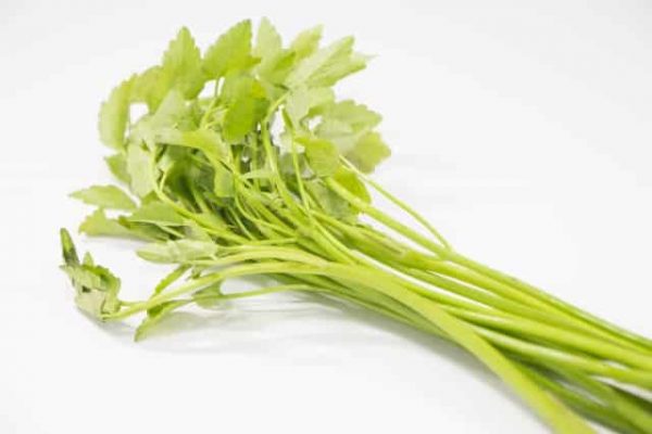 せりの値段は? せり独特の食感を楽しむ食べ方とは？ FOOD LAYOUT